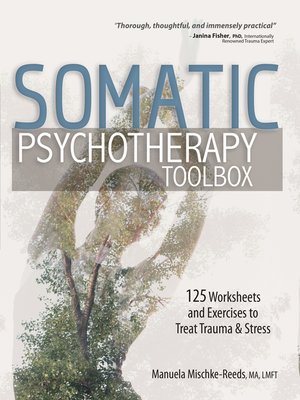 cover image of Somatic Psychotherapy Toolbox